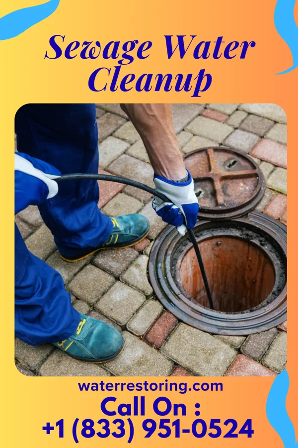 Sewage Water Cleanup in Mansura, LA
