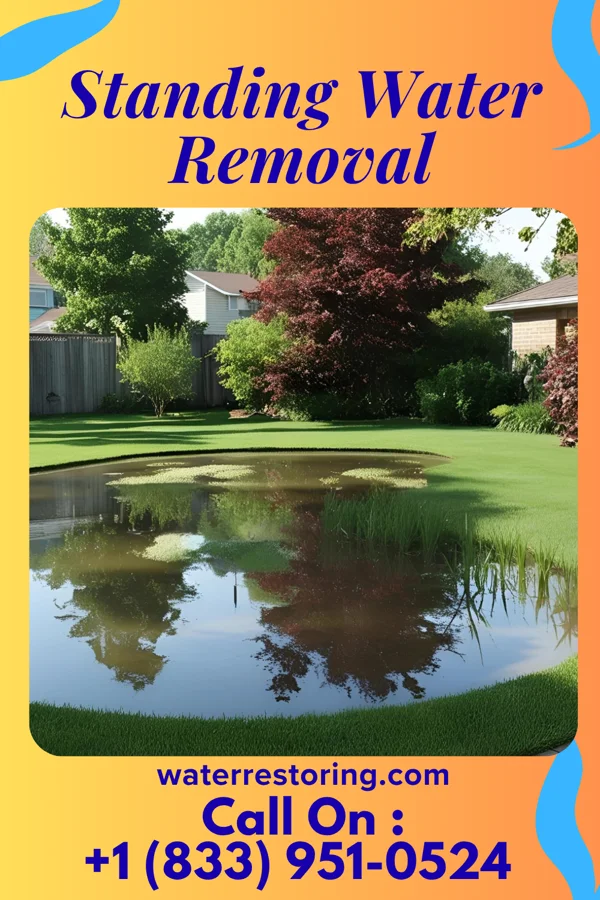 Standing Water Removal in Mansura, LA